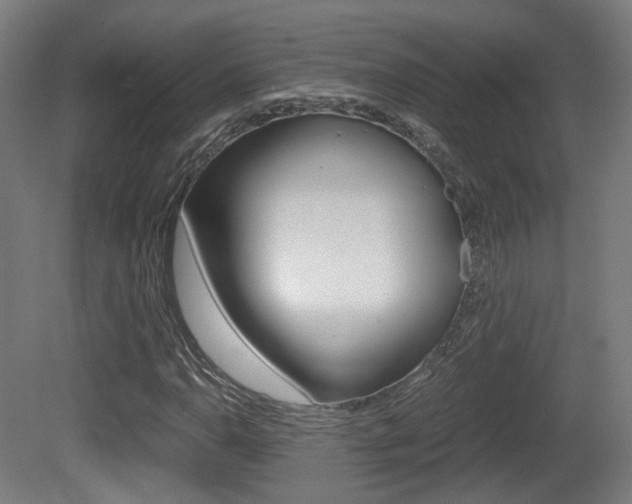 X0000081391110200701111159