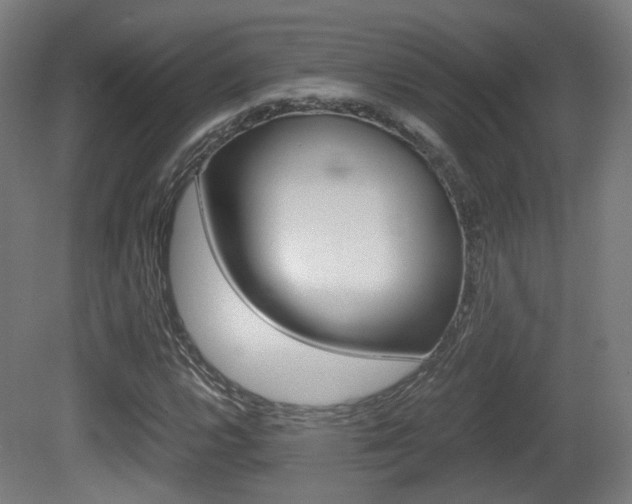 X0000081391112200701111159