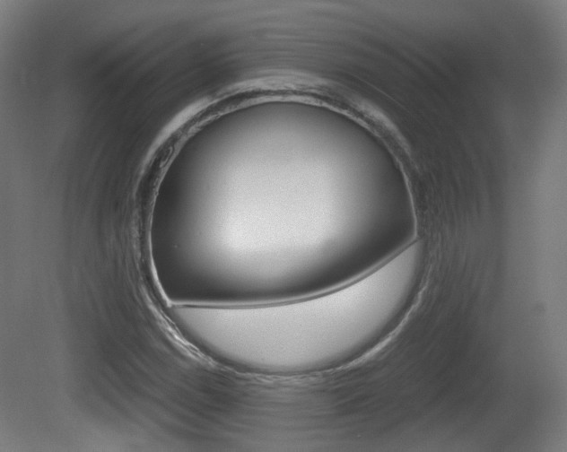 X0000081391114200701111159