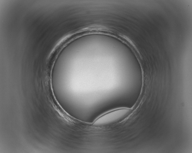 X0000081391115200701111159