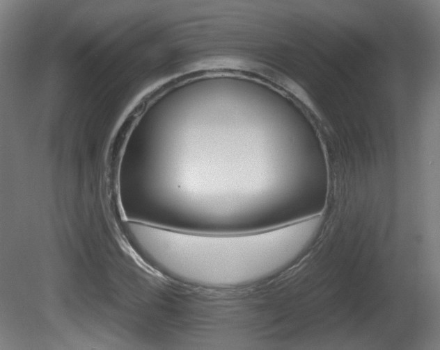 X0000081391116200701111159
