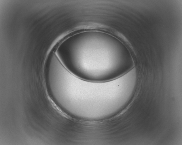 X0000081391122200701111159