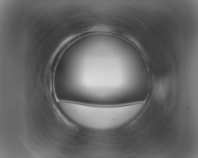 X0000081391123200701111159