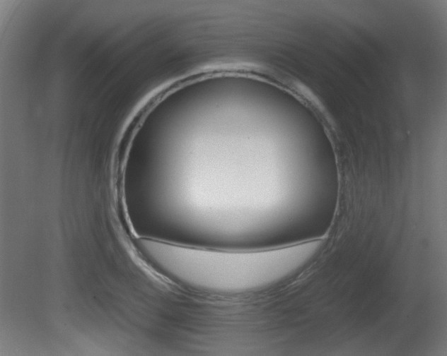 X0000081391124200701111159