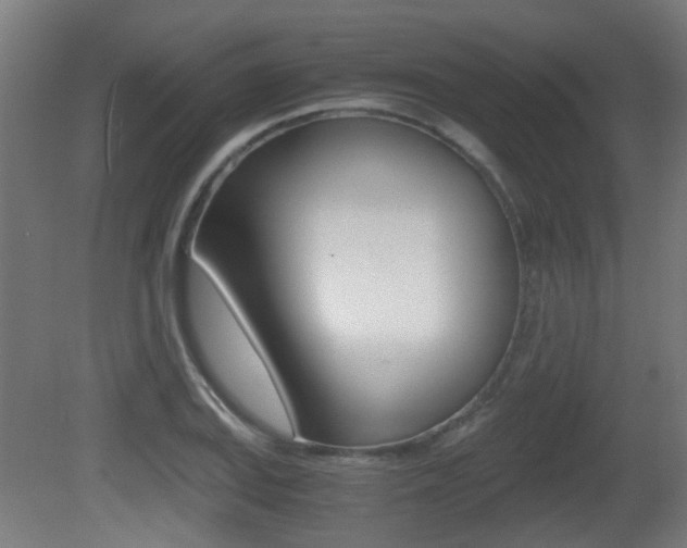 X0000081391127200701111159