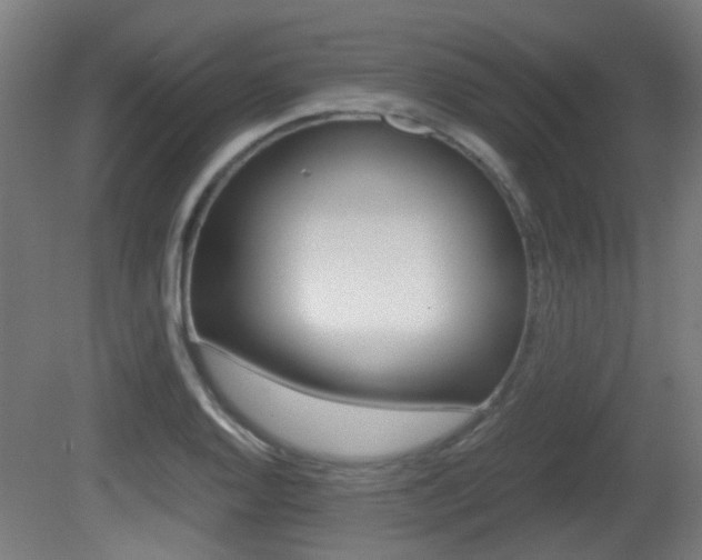 X0000081391128200701111159