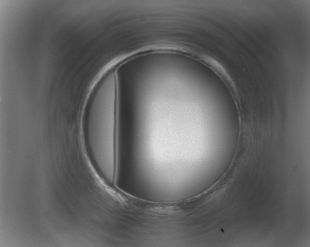 X0000081391133200701111200