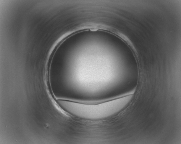 X0000081391136200701111200