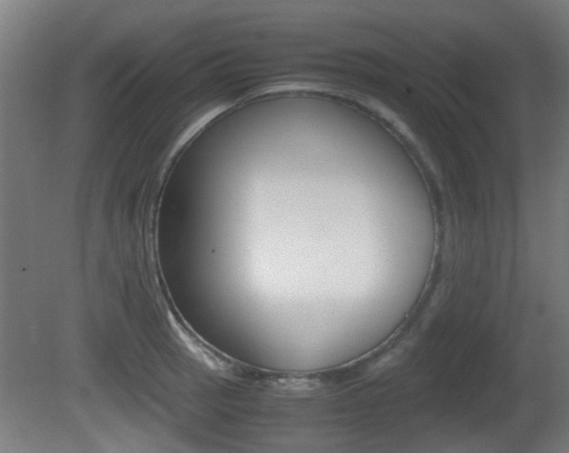 X0000081391137200701111200