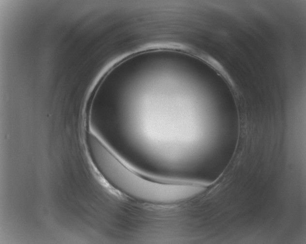 X0000081391140200701111200