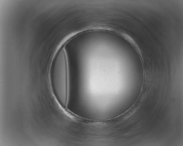 X0000081391141200701111200