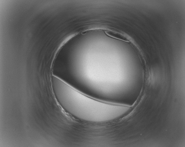 X0000081391145200701111200