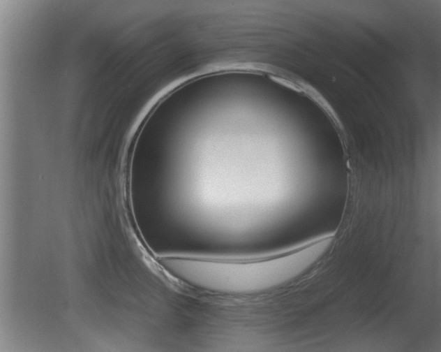 X0000081391148200701111200