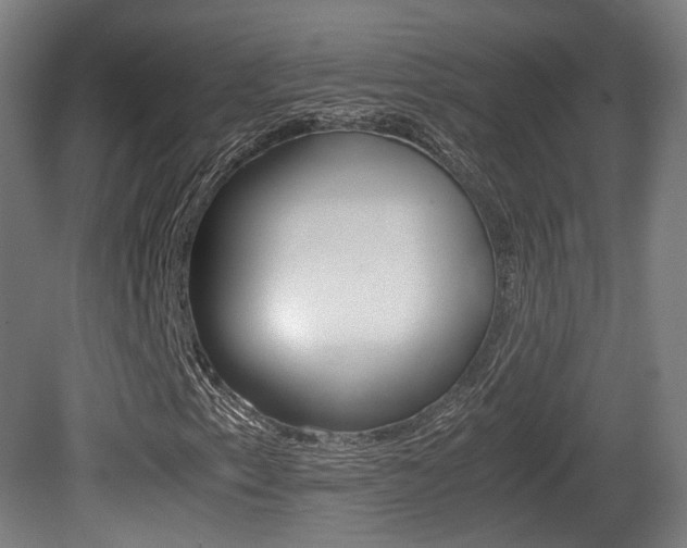 X0000081391153200701111159