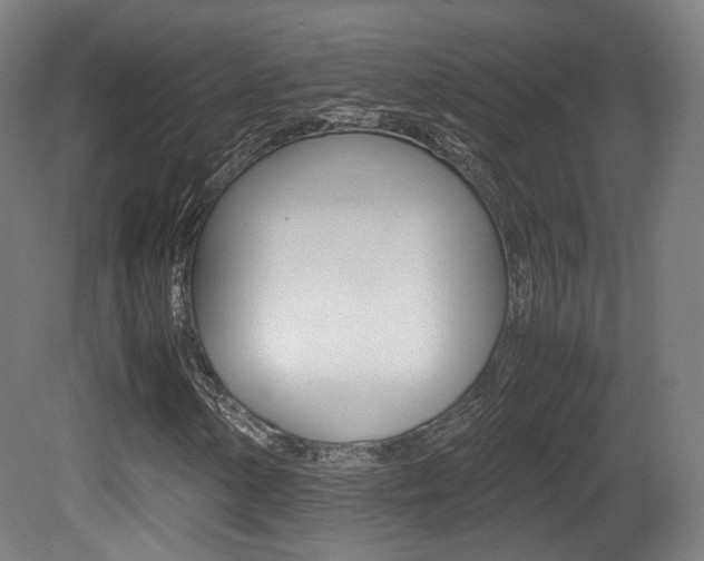 X0000081391154200701111159