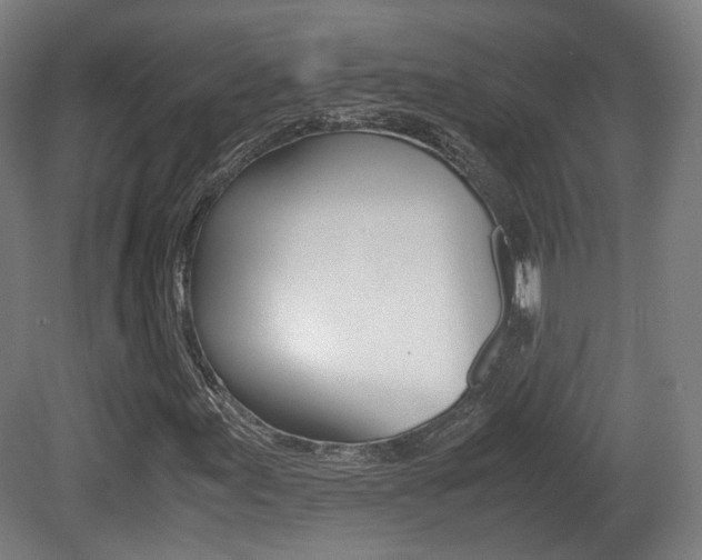 X0000081391155200701111159