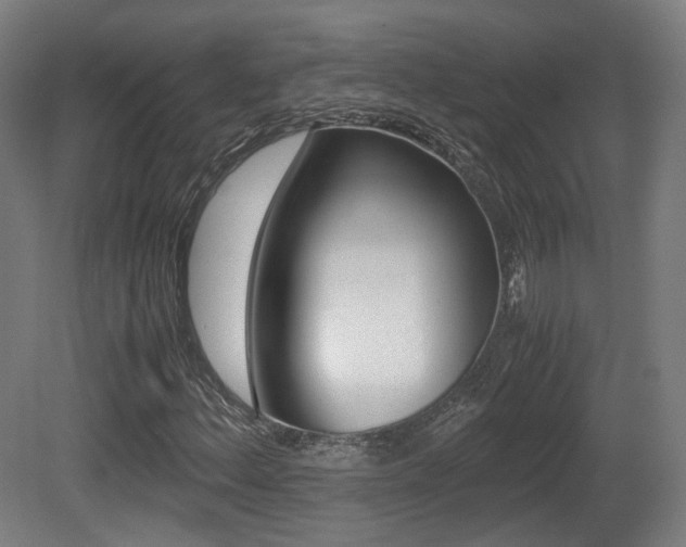 X0000081391156200701111159