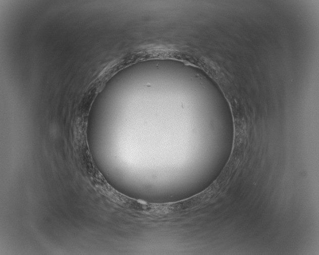 X0000081391157200701111159