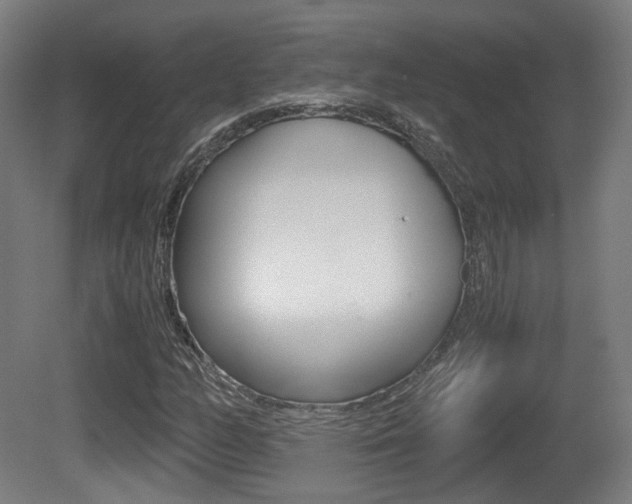 X0000081391158200701111159