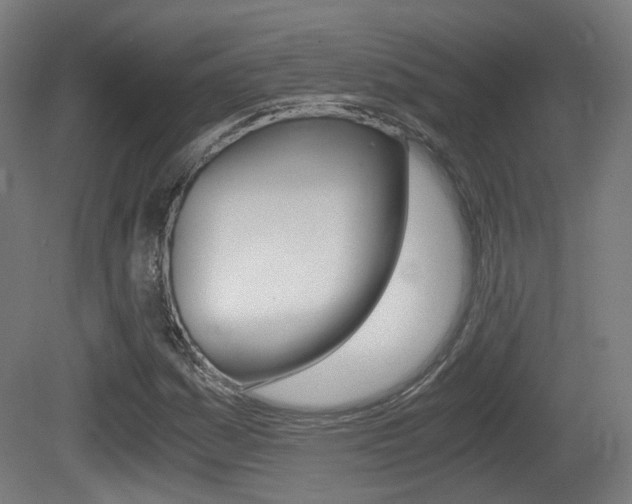 X0000081391161200701111159