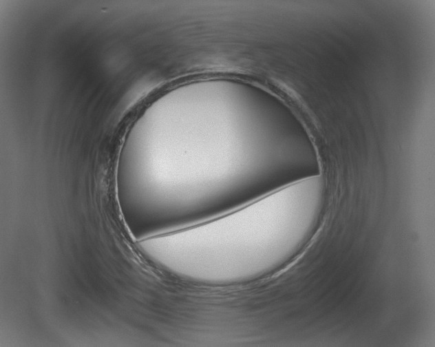 X0000081391163200701111159