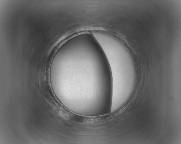 X0000081391165200701111159
