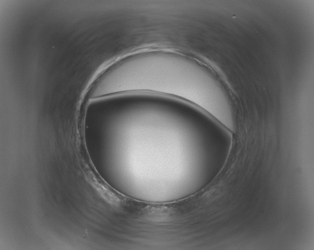 X0000081391168200701111159