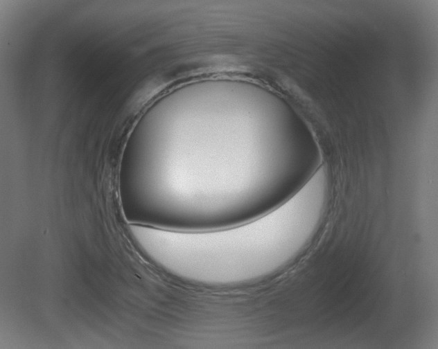 X0000081391169200701111159