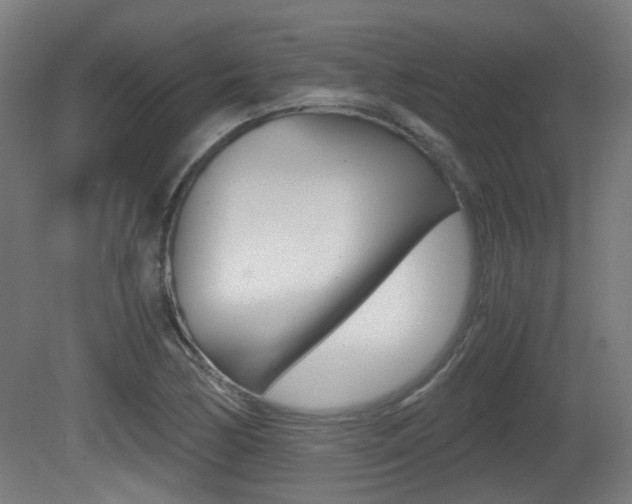 X0000081391170200701111159