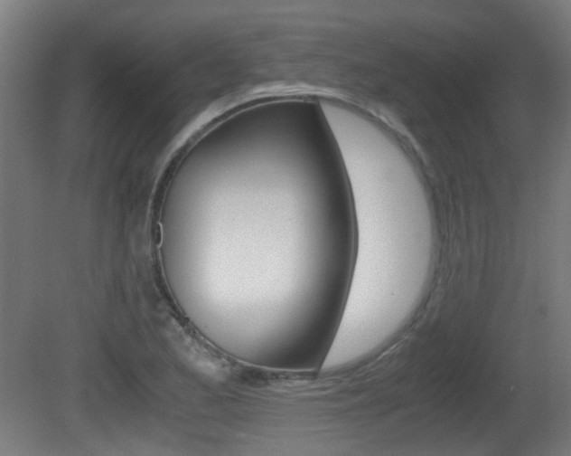 X0000081391173200701111159
