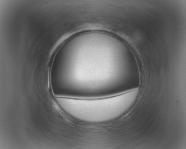 X0000081391175200701111159