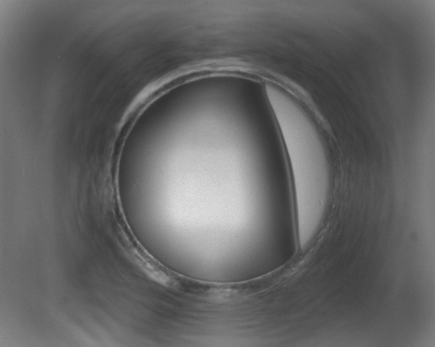 X0000081391176200701111159