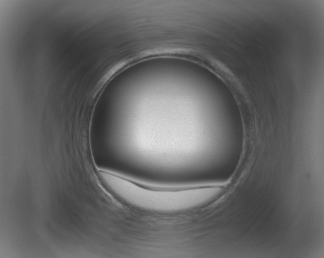 X0000081391177200701111159