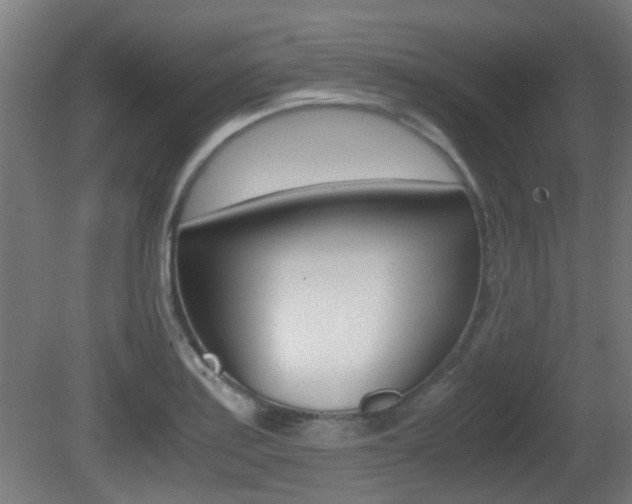 X0000081391179200701111159