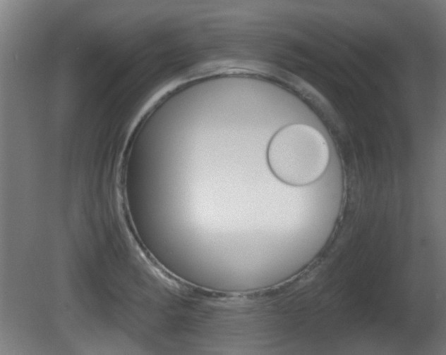 X0000081391182200701111159