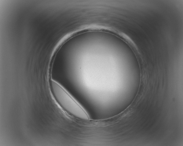 X0000081391183200701111159