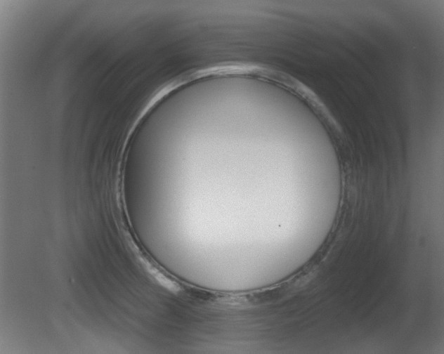 X0000081391186200701111158