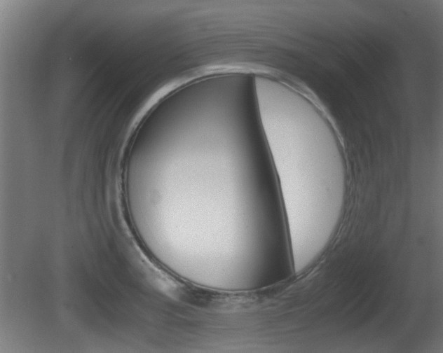 X0000081391187200701111158