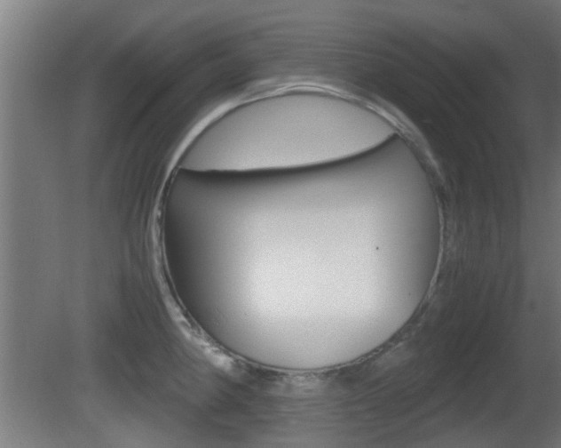 X0000081391190200701111158