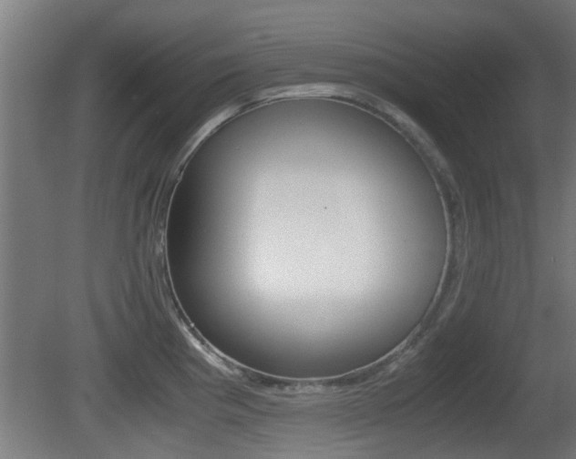 X0000081391193200701111158