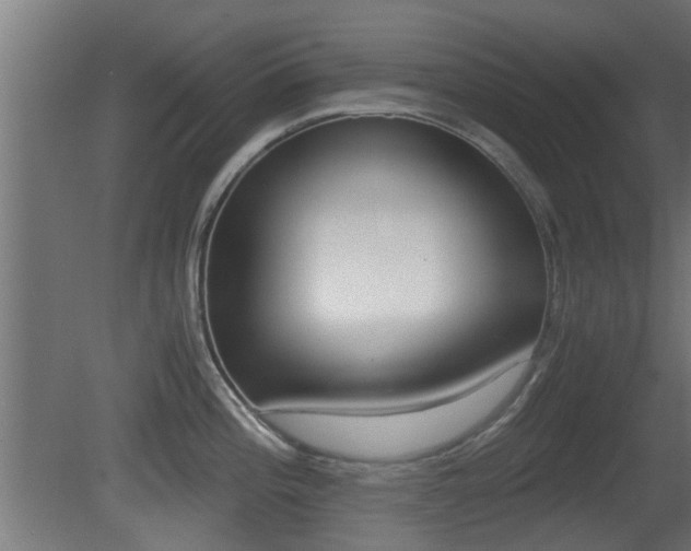X0000081391196200701111158