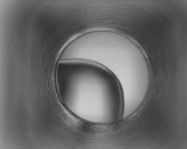 X0000081391197200701111158