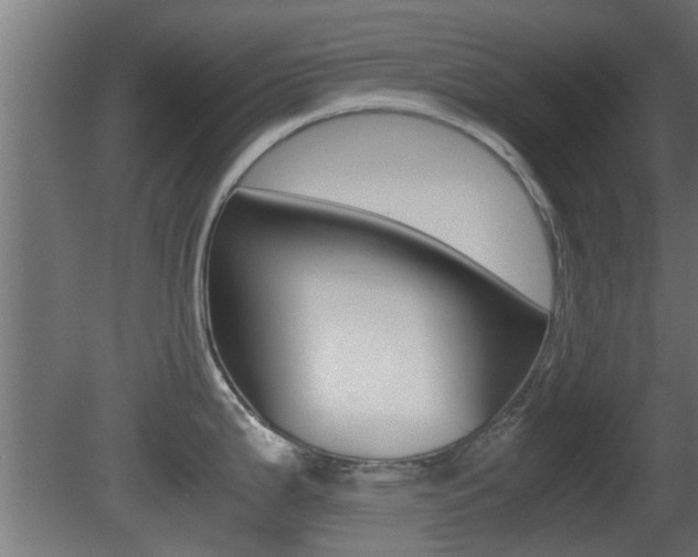 X0000081391199200701111158