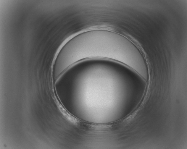 X0000081391200200701111158