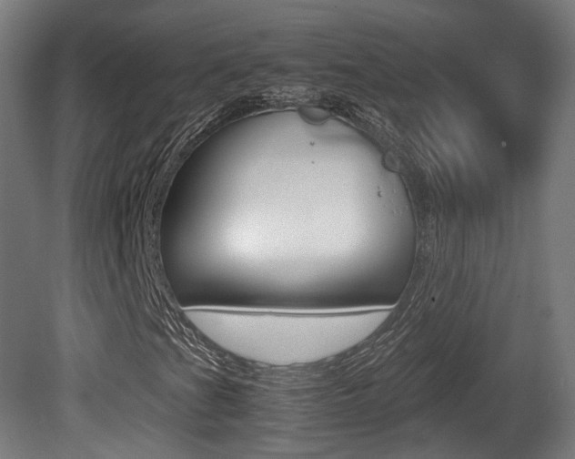 X0000081391201200701111157