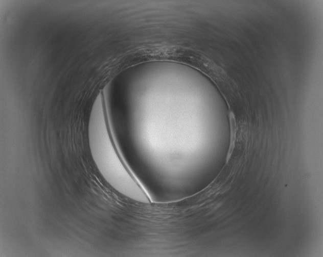 X0000081391202200701111157