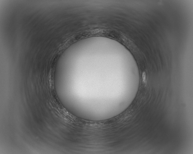 X0000081391203200701111157