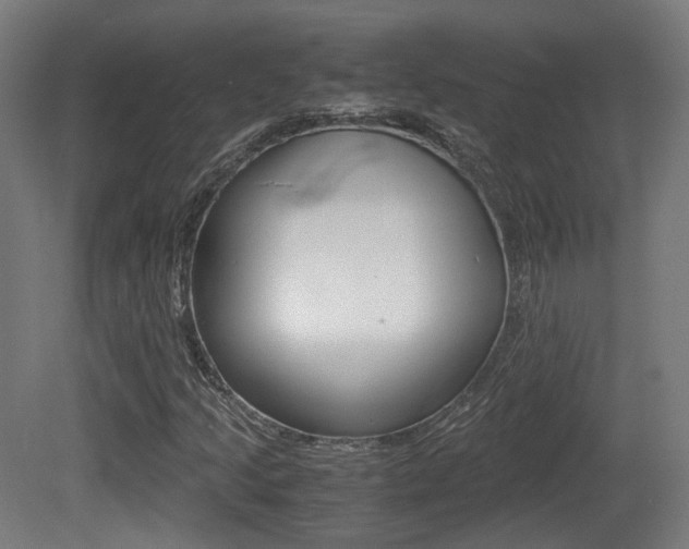 X0000081391205200701111158