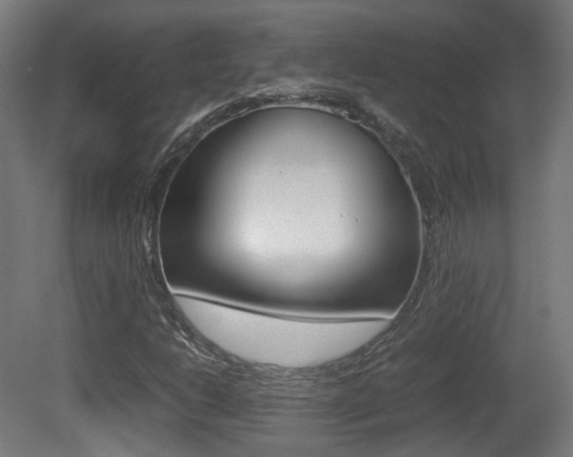 X0000081391206200701111158