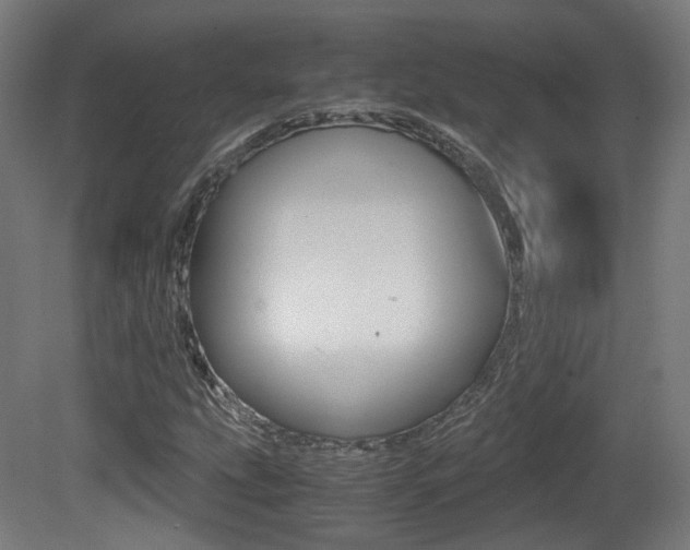 X0000081391207200701111158